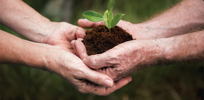 Sustainability